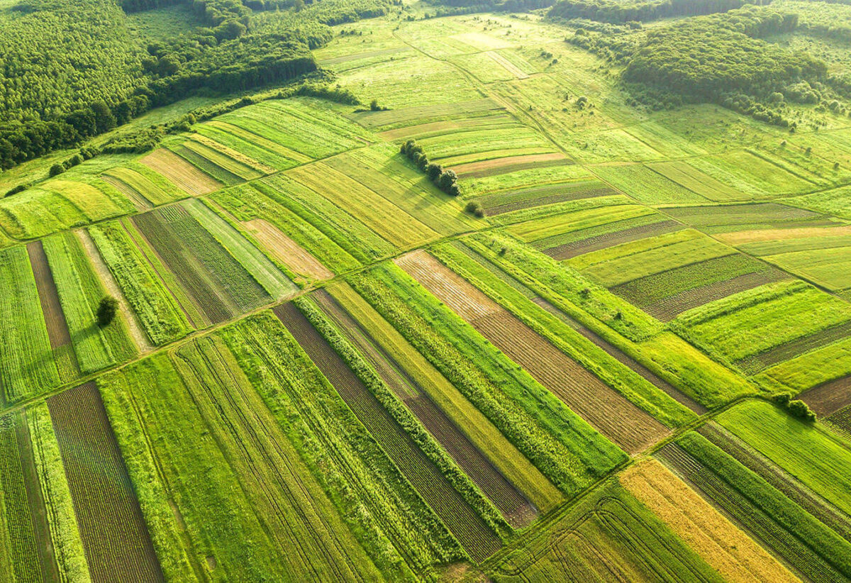 blog-bg-04 blog-bg-04