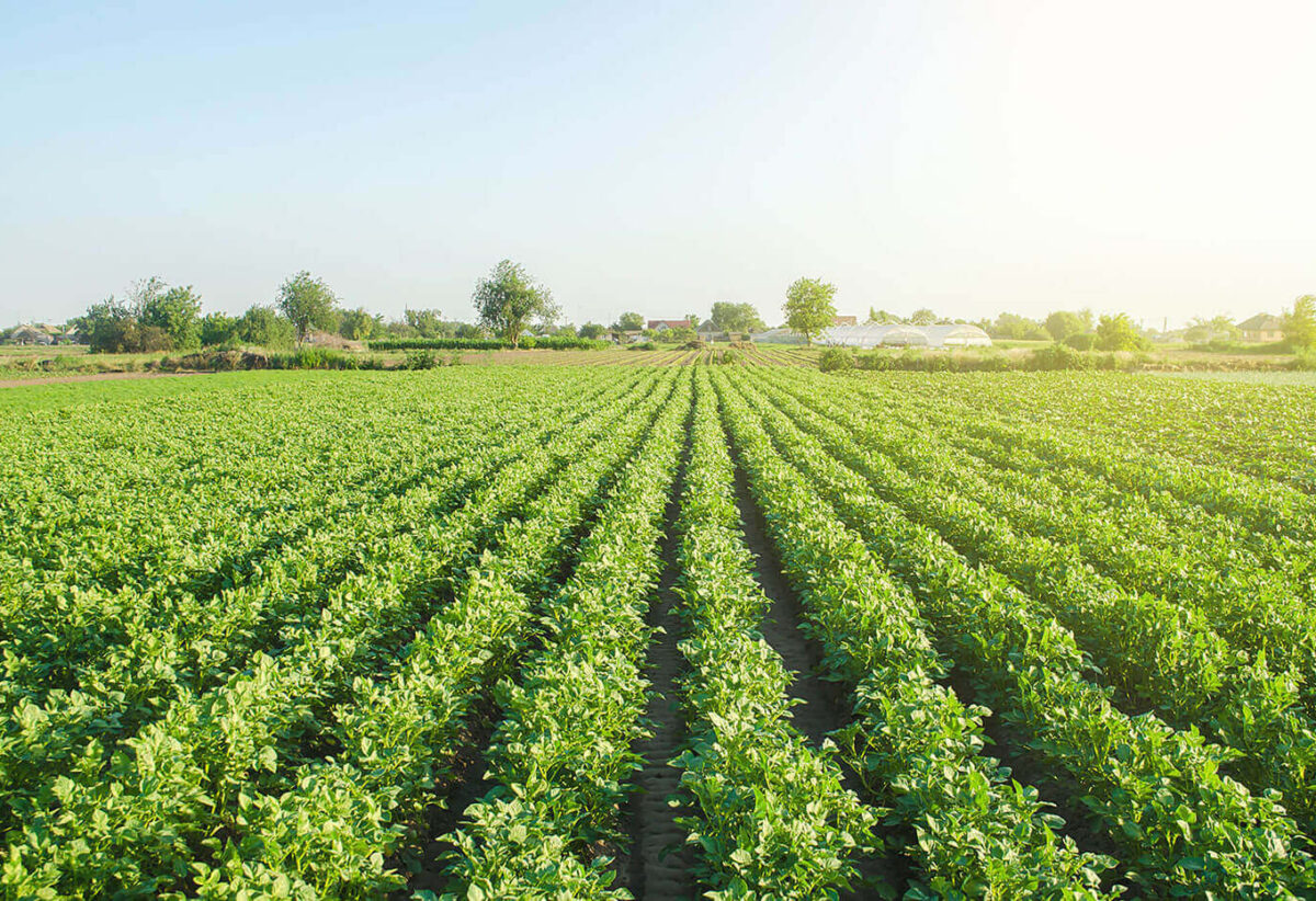 blog-bg-09 blog-bg-09