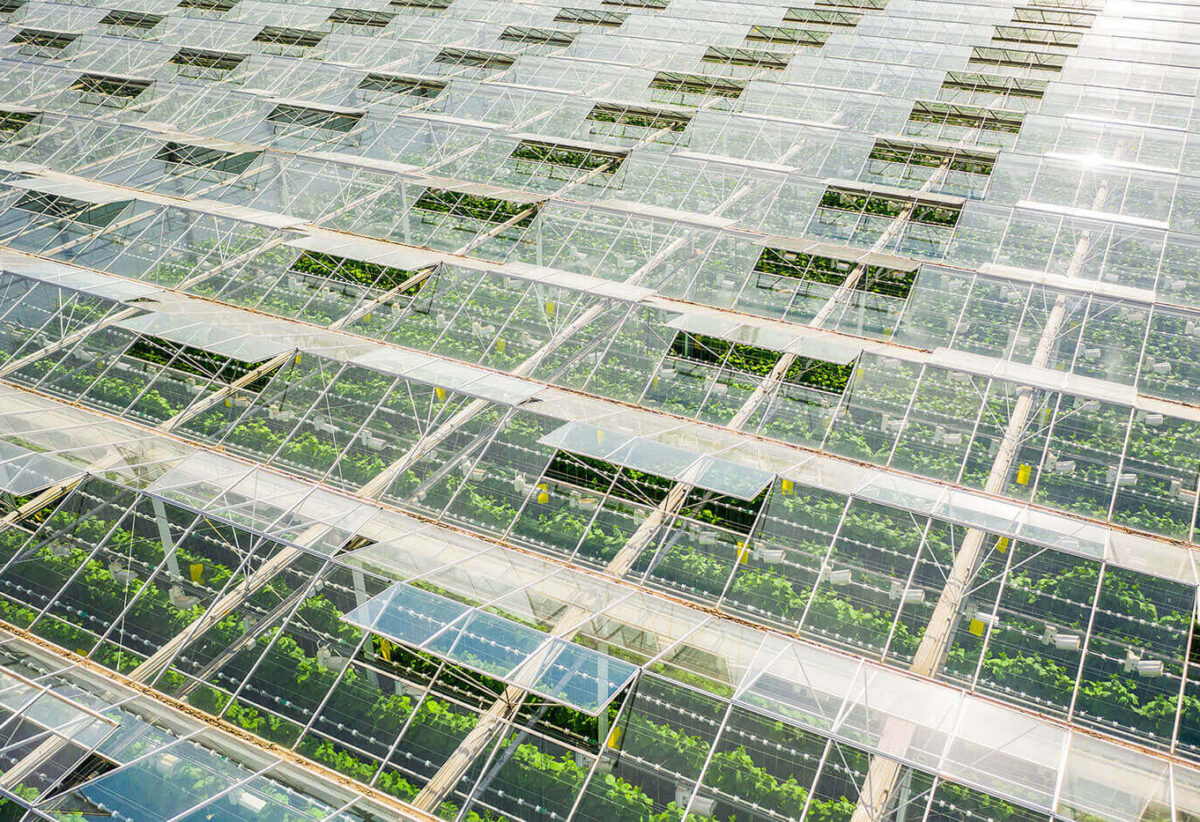 blog-bg-13 blog-bg-13