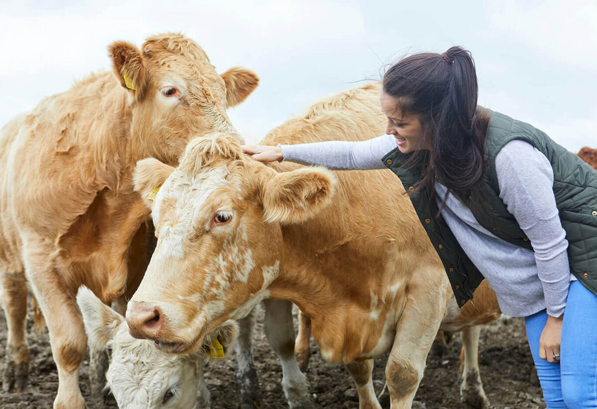 blog-bg-17 blog-bg-17